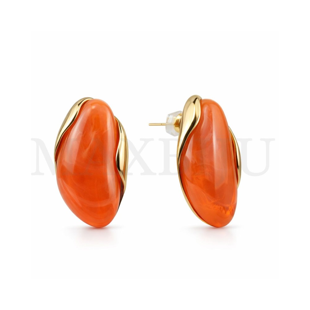 Stainless Steel and Resin Earrings