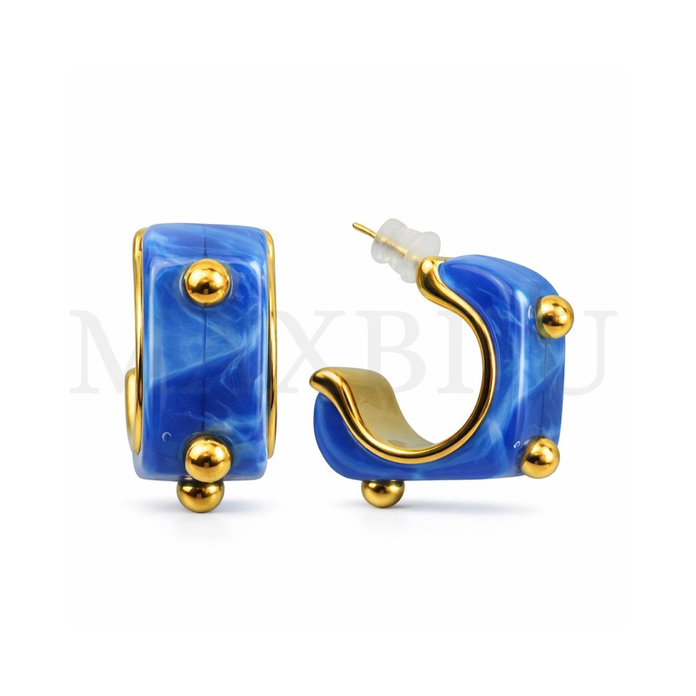 Stainless Steel and Resin Earrings