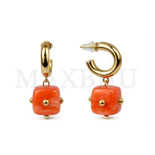 Stainless Steel and Resin Earrings