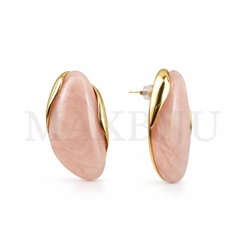 Stainless Steel and Resin Earrings