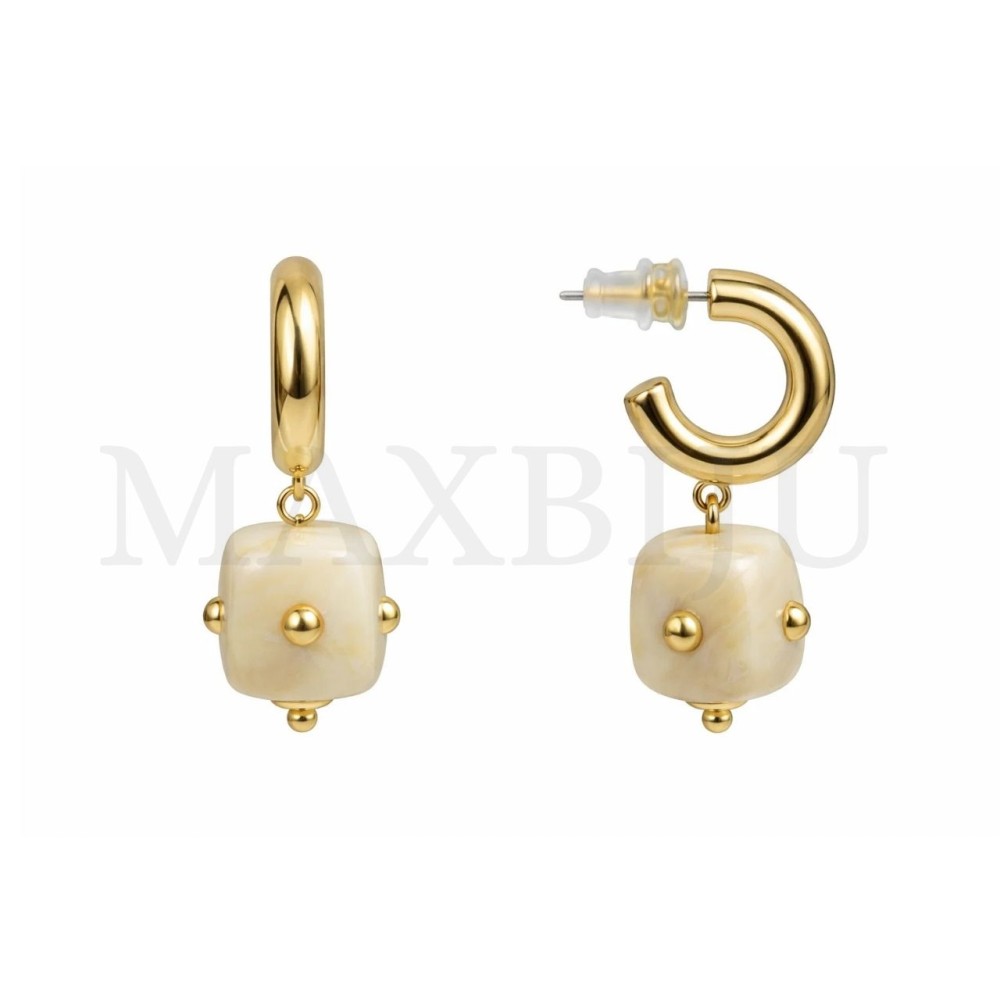 Stainless Steel and Resin Earrings