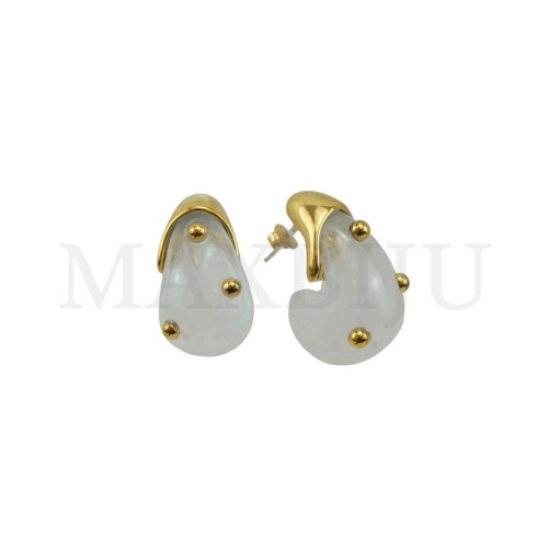 Stainless Steel and Resin Earring