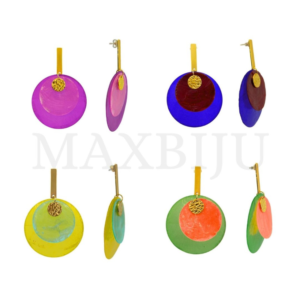 Stainless Steel and Resin Earring