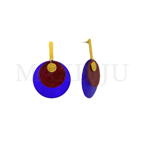 Stainless Steel and Resin Earring