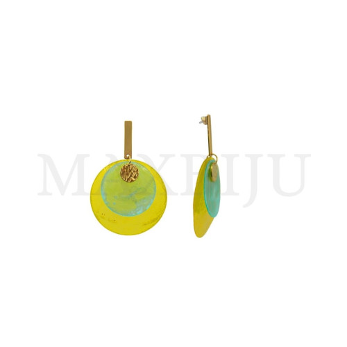 Stainless Steel and Resin Earring