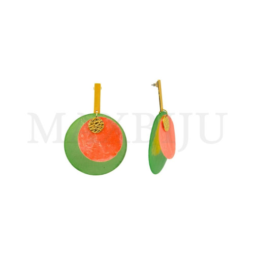 Stainless Steel and Resin Earring