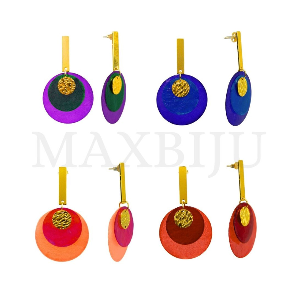 Stainless Steel and Resin Earring