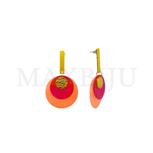 Stainless Steel and Resin Earring