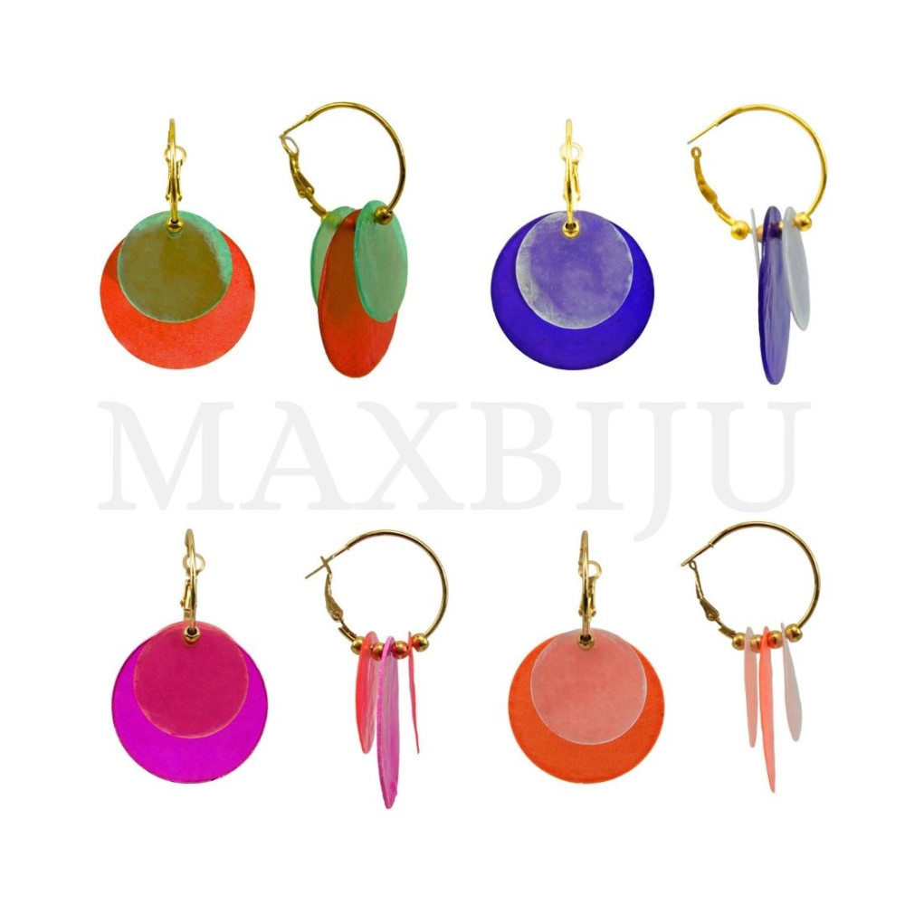 Stainless Steel and Resin Earring