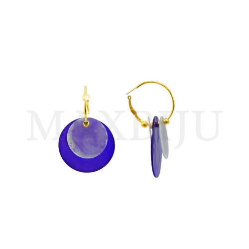 Stainless Steel and Resin Earring