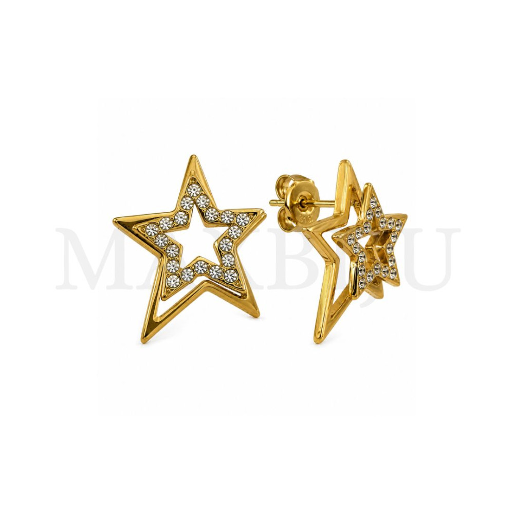 Stainless Steel Earring.