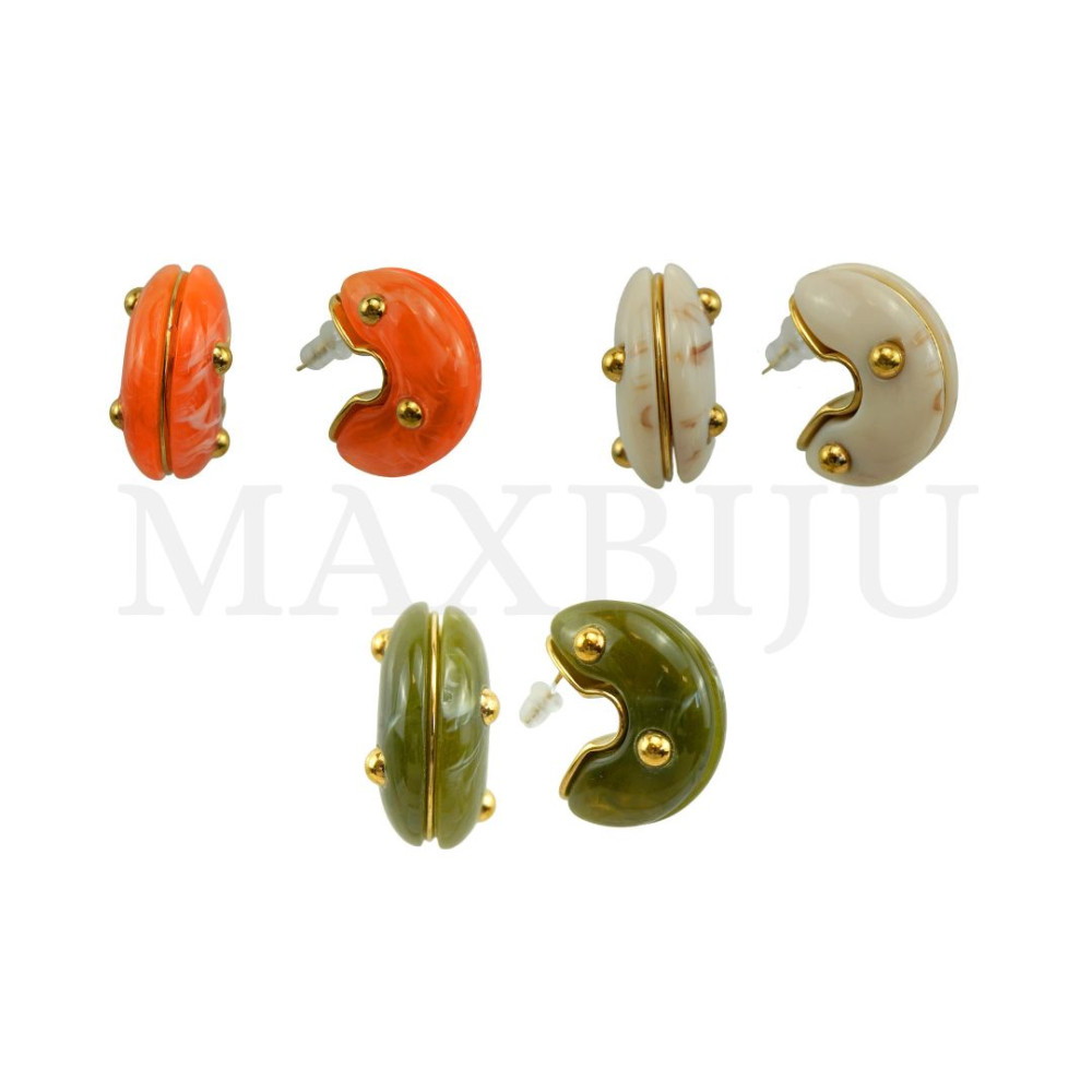 Stainless Steel and Resin Earring