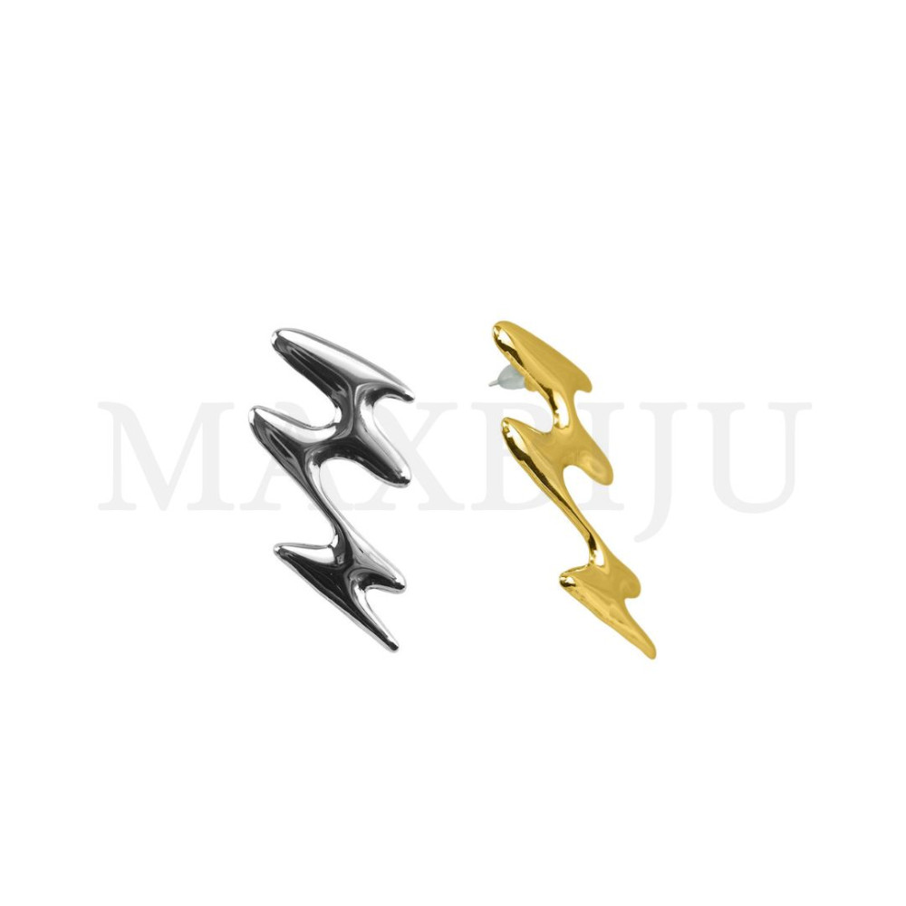Stainless Steel Earring.