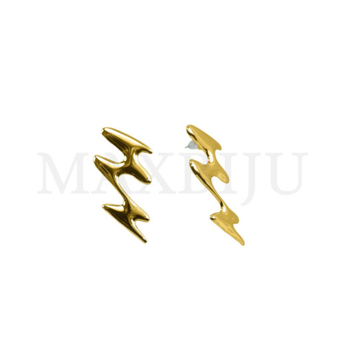 Stainless Steel Earring.