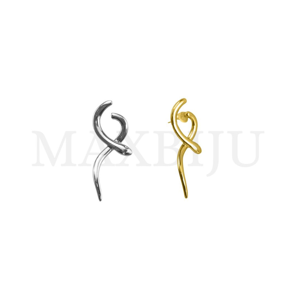 Stainless Steel Earring.