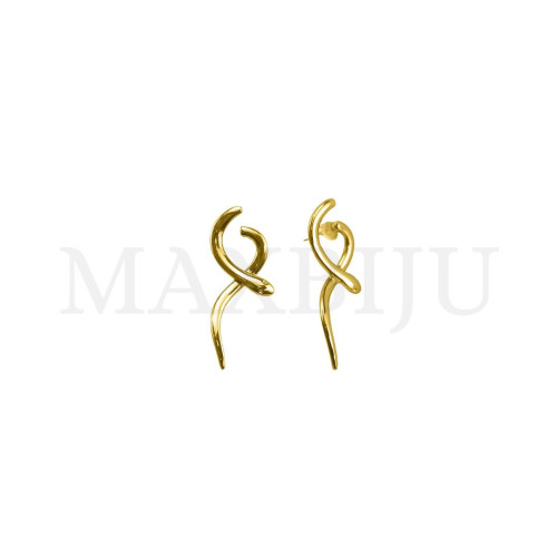 Stainless Steel Earring.