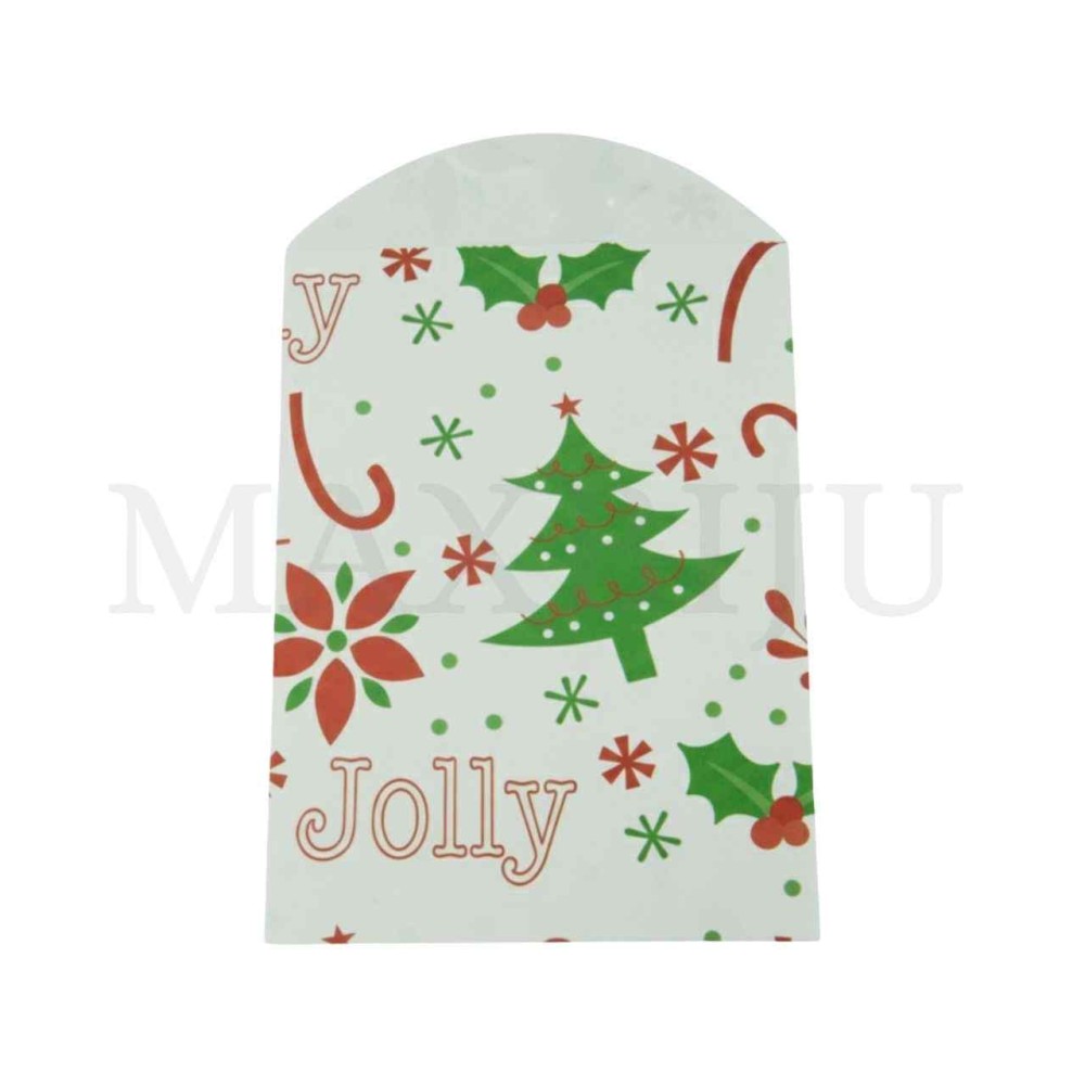 Paper Envelopes Christmas 12x19cm