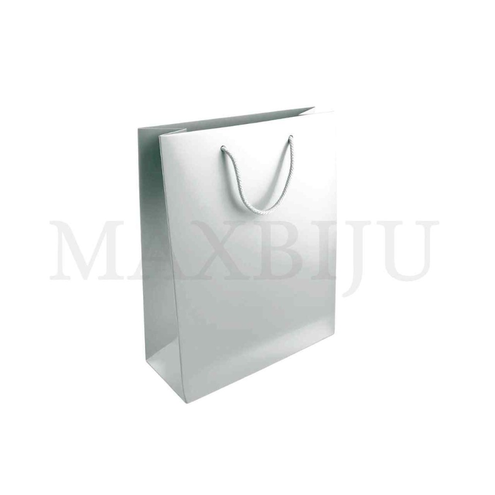 Paper Bag 27x23x8cm
